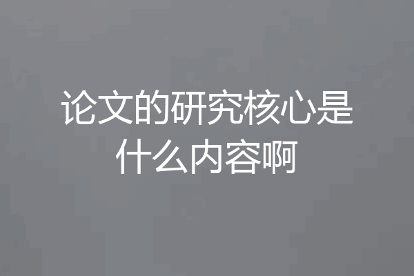 论文的研究核心是什么内容啊
