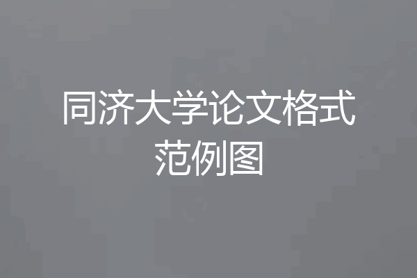 同济大学论文格式范例图