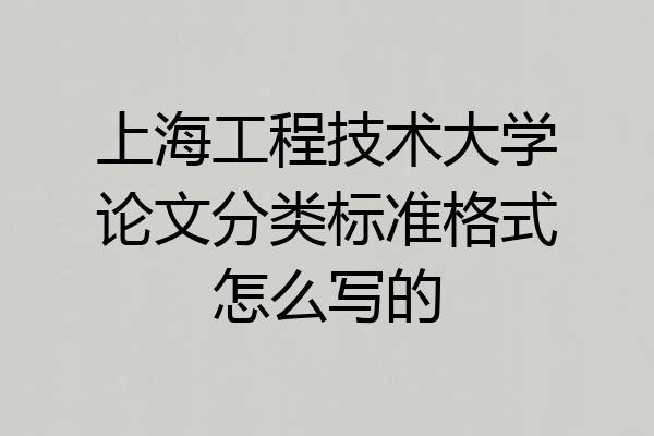 上海工程技术大学论文分类标准格式怎么写的