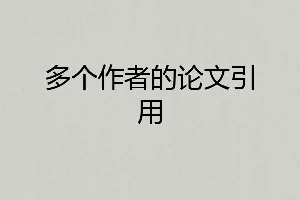 多个作者的论文引用