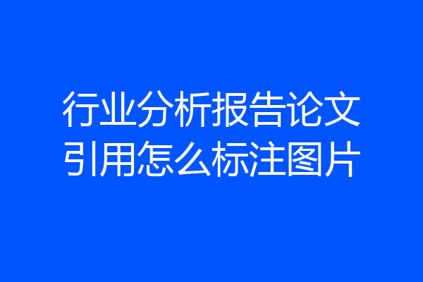 行业分析报告论文引用怎么标注图片