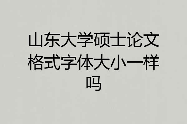 山东大学硕士论文格式字体大小一样吗