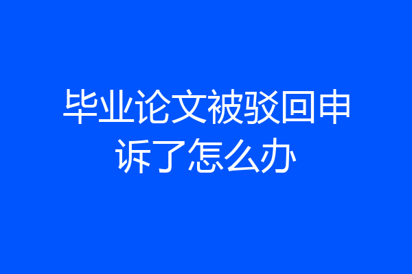 毕业论文被驳回申诉了怎么办