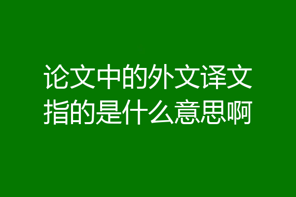 论文中的外文译文指的是什么意思啊