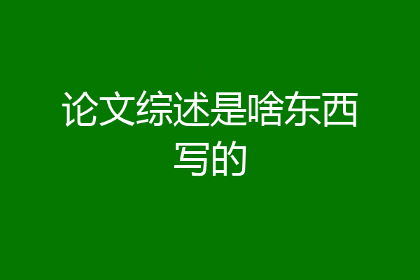 论文综述是啥东西写的