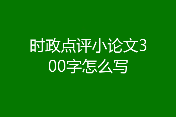 时政点评小论文300字怎么写