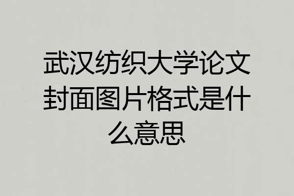 武汉纺织大学论文封面图片格式是什么意思