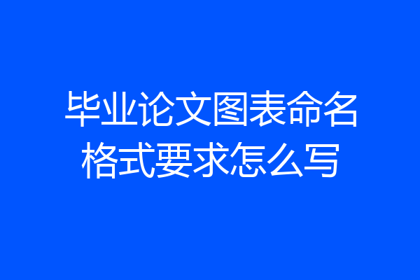 毕业论文图表命名格式要求怎么写