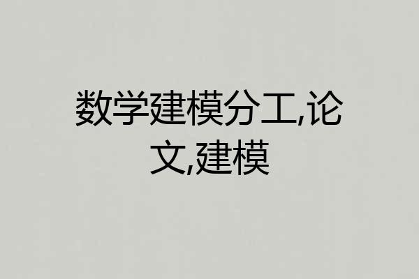 数学建模分工,论文,建模
