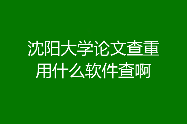 沈阳大学论文查重用什么软件查啊