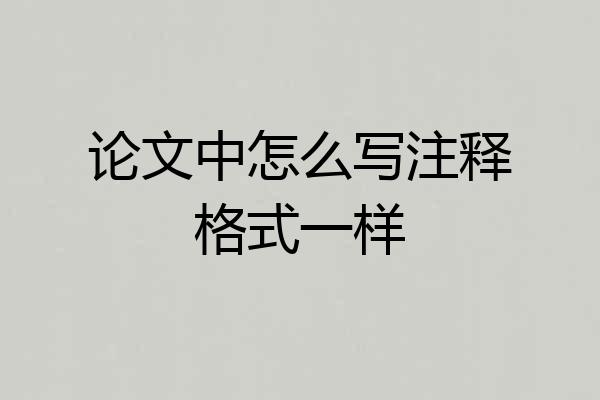 论文中怎么写注释格式一样
