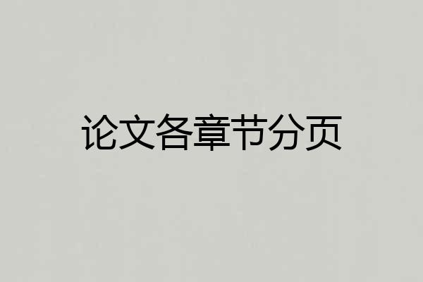 论文各章节分页