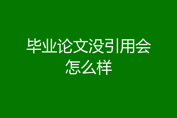 毕业论文没引用会怎么样
