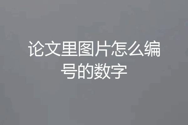 论文里图片怎么编号的数字