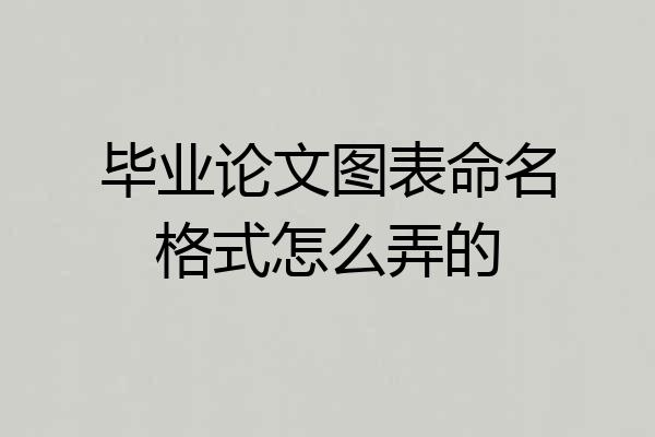 毕业论文图表命名格式怎么弄的