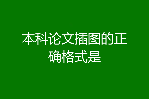 本科论文插图的正确格式是