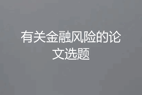 有关金融风险的论文选题