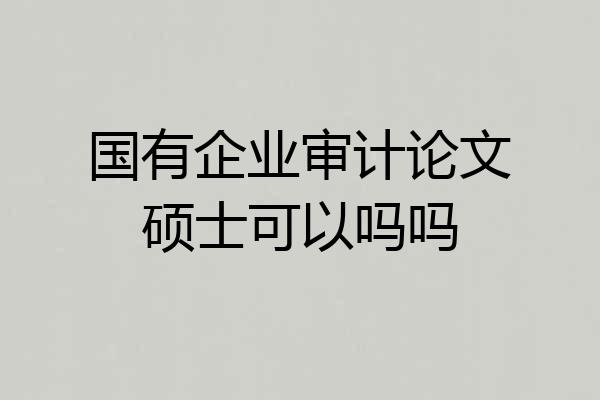 国有企业审计论文硕士可以吗吗