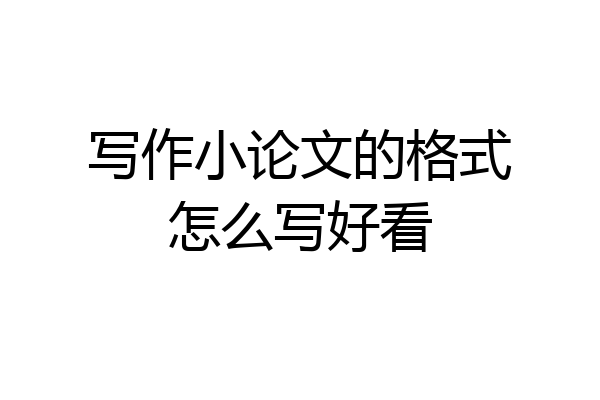 写作小论文的格式怎么写好看
