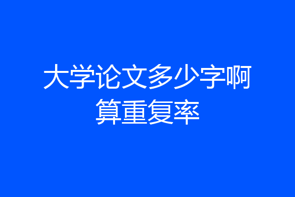 大学论文多少字啊算重复率