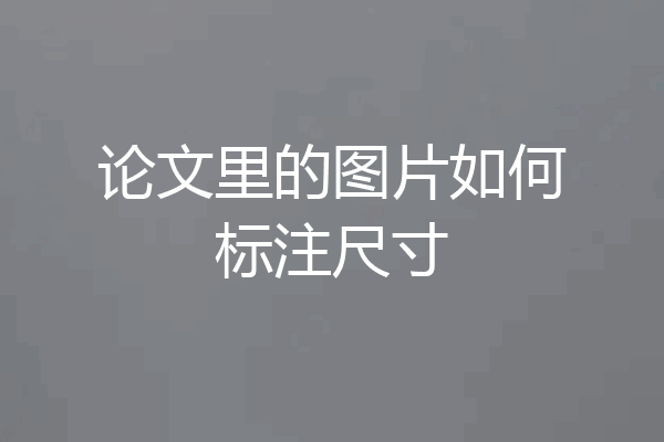 论文里的图片如何标注尺寸