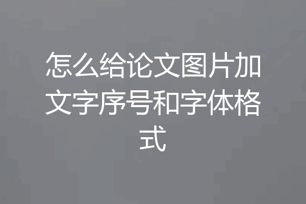怎么给论文图片加文字序号和字体格式