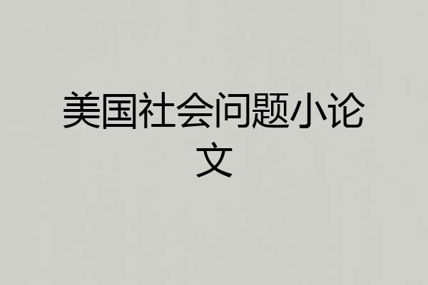 美国社会问题小论文