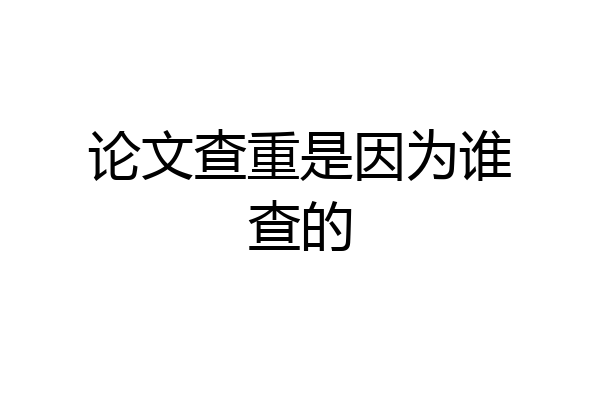 论文查重是因为谁查的