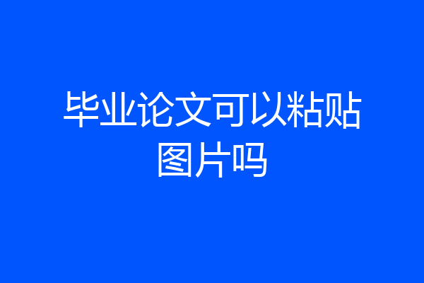 毕业论文可以粘贴图片吗