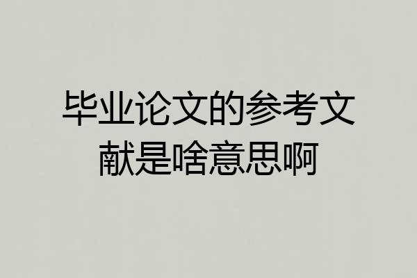 毕业论文的参考文献是啥意思啊