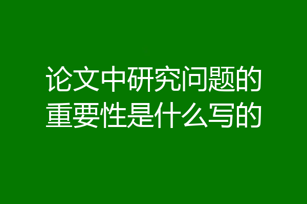 论文中研究问题的重要性是什么写的