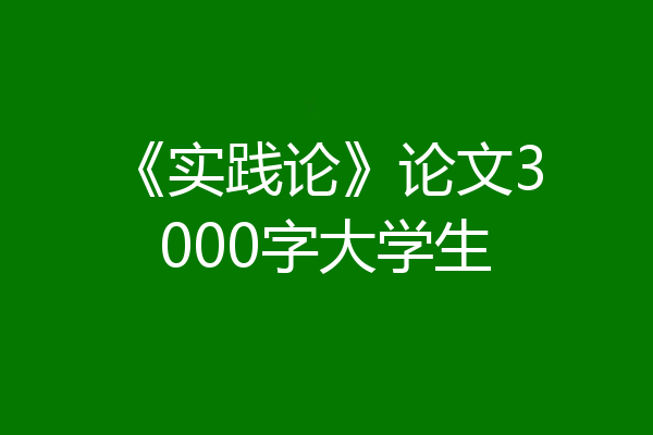 《实践论》论文3000字大学生