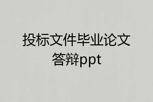 投标文件毕业论文答辩ppt
