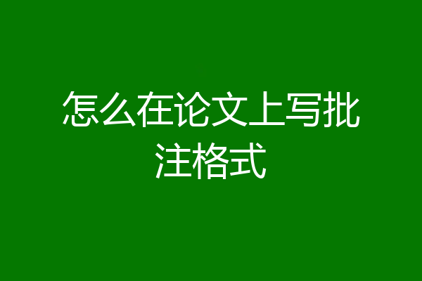 怎么在论文上写批注格式