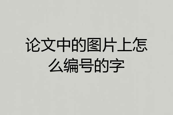 论文中的图片上怎么编号的字