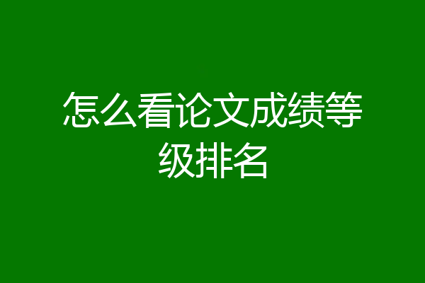 怎么看论文成绩等级排名