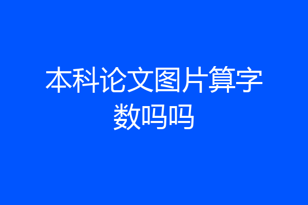 本科论文图片算字数吗吗