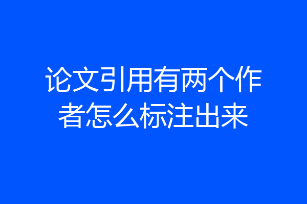 论文引用有两个作者怎么标注出来
