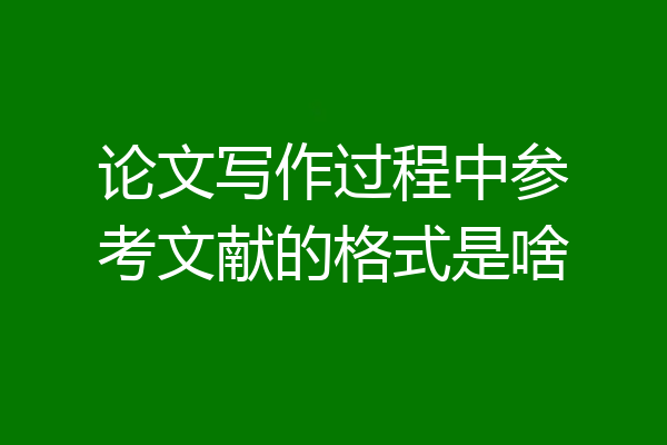 论文写作过程中参考文献的格式是啥