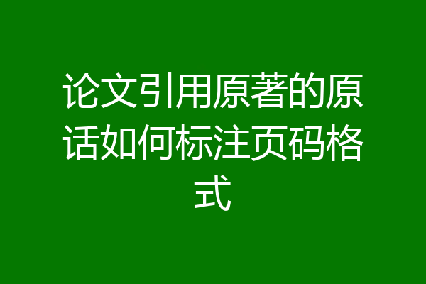 论文引用原著的原话如何标注页码格式