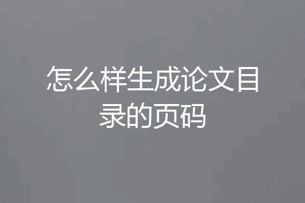 怎么样生成论文目录的页码