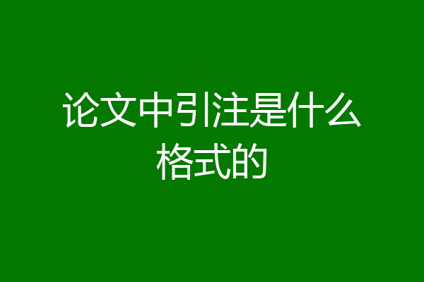 论文中引注是什么格式的
