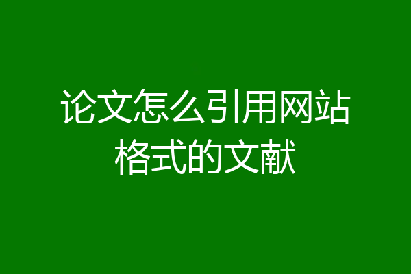 论文怎么引用网站格式的文献