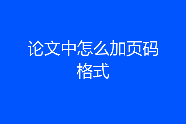 论文中怎么加页码格式