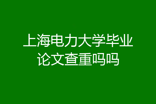 上海电力大学毕业论文查重吗吗