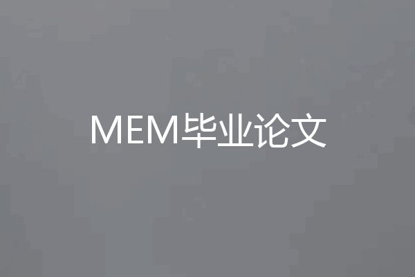 MEM毕业论文