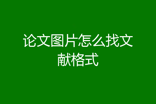 论文图片怎么找文献格式