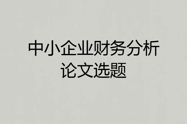 中小企业财务分析论文选题