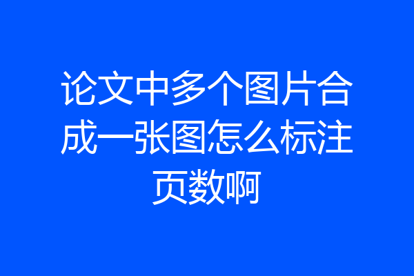 论文中多个图片合成一张图怎么标注页数啊