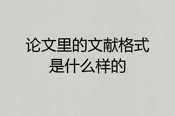 论文里的文献格式是什么样的